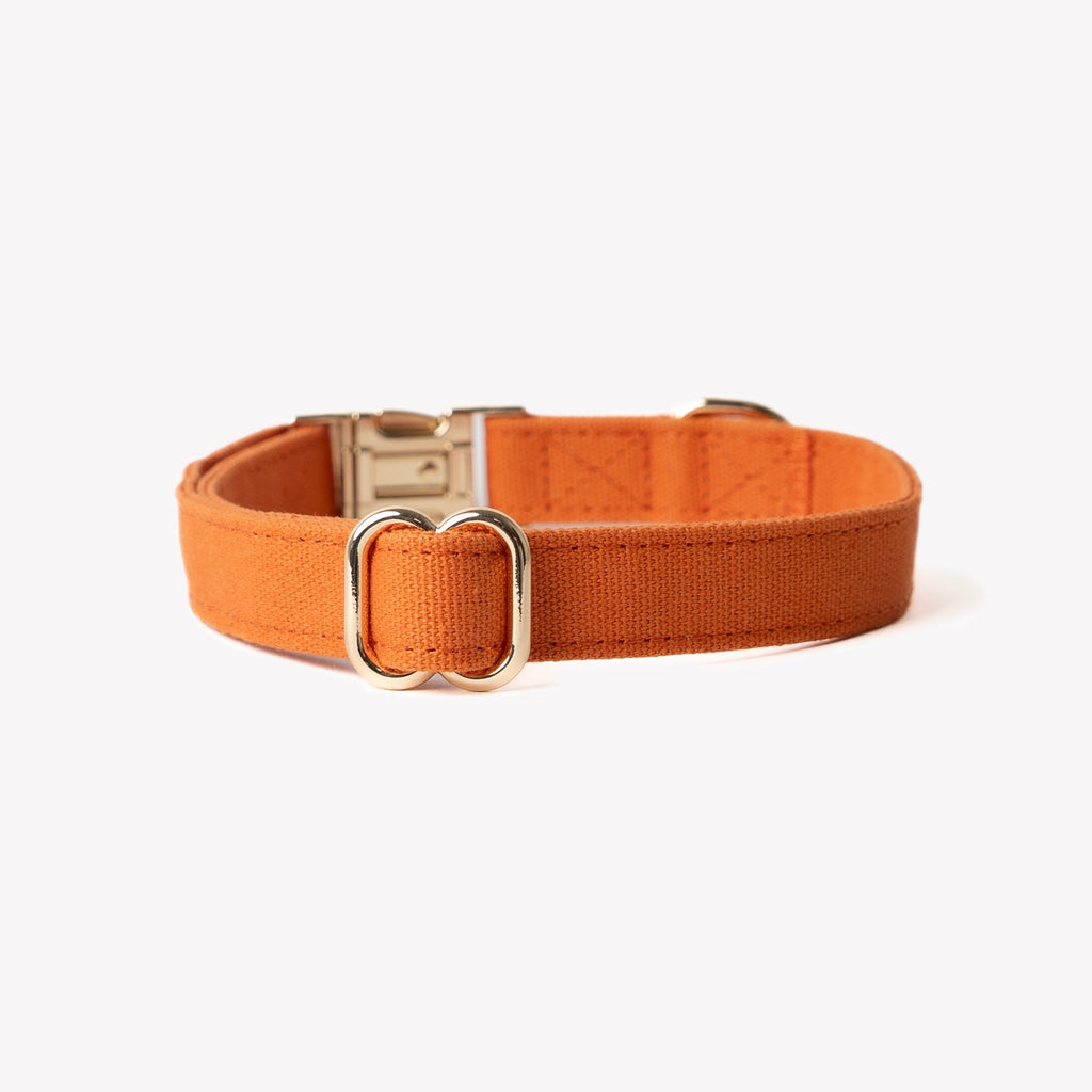'Terracotta' - Canvas Dog Collar