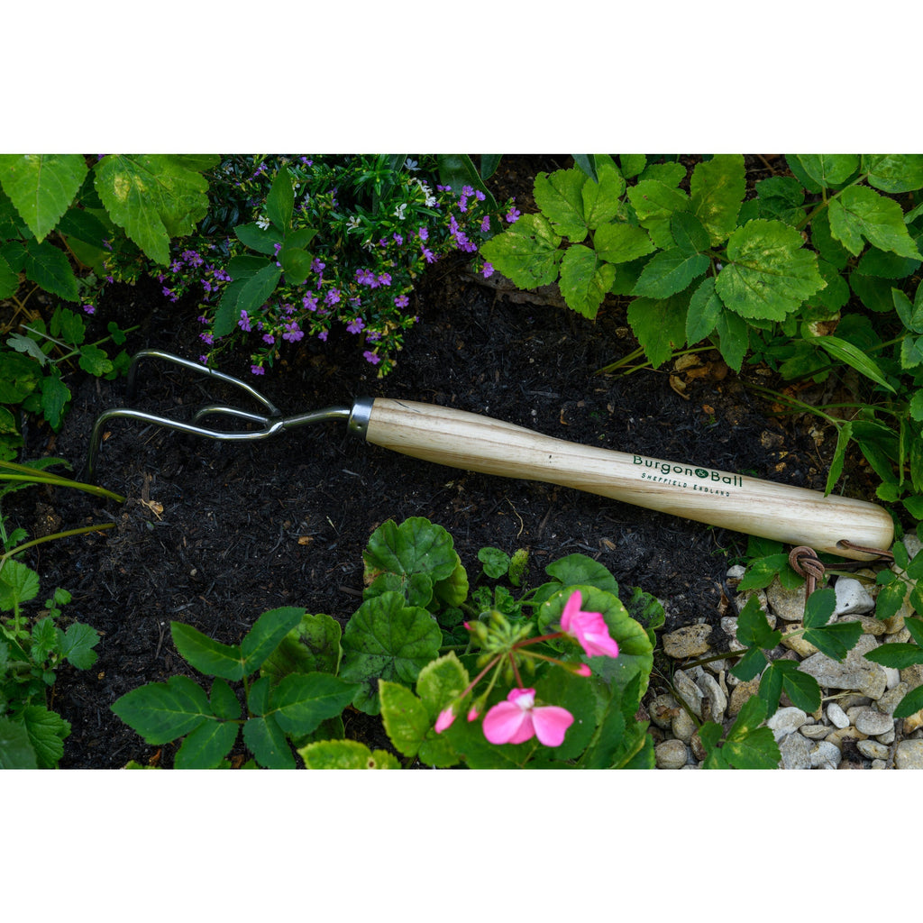 Burgon & Ball® Mid-Handled Stainless Steel Claw Cultivator, RHS Endorsed