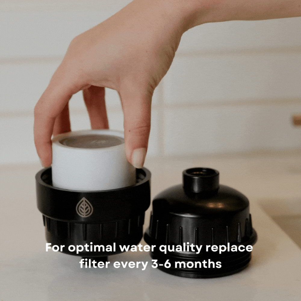 SHOWER FILTER - Replacement Packs