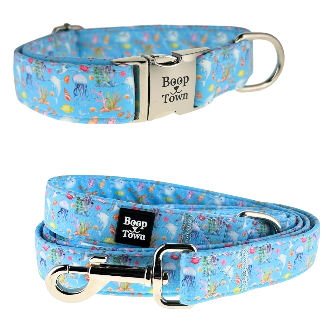 Sea World Collar + Leash Set