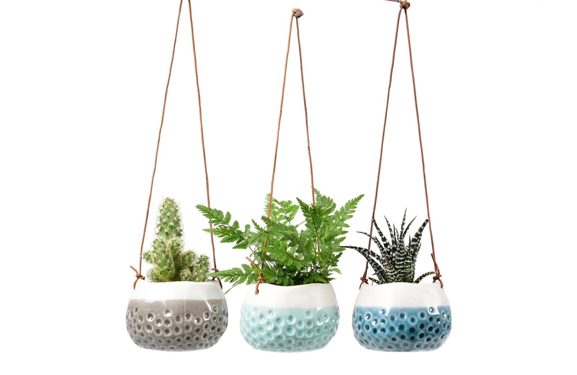 Burgon & Ball® Hanging Baby Dotty Trio Vases
