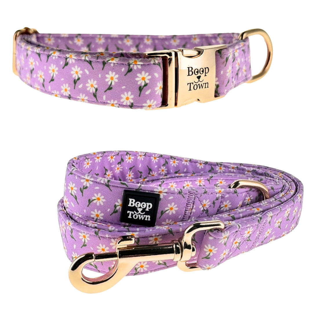 Dog Collar & Leash Sets