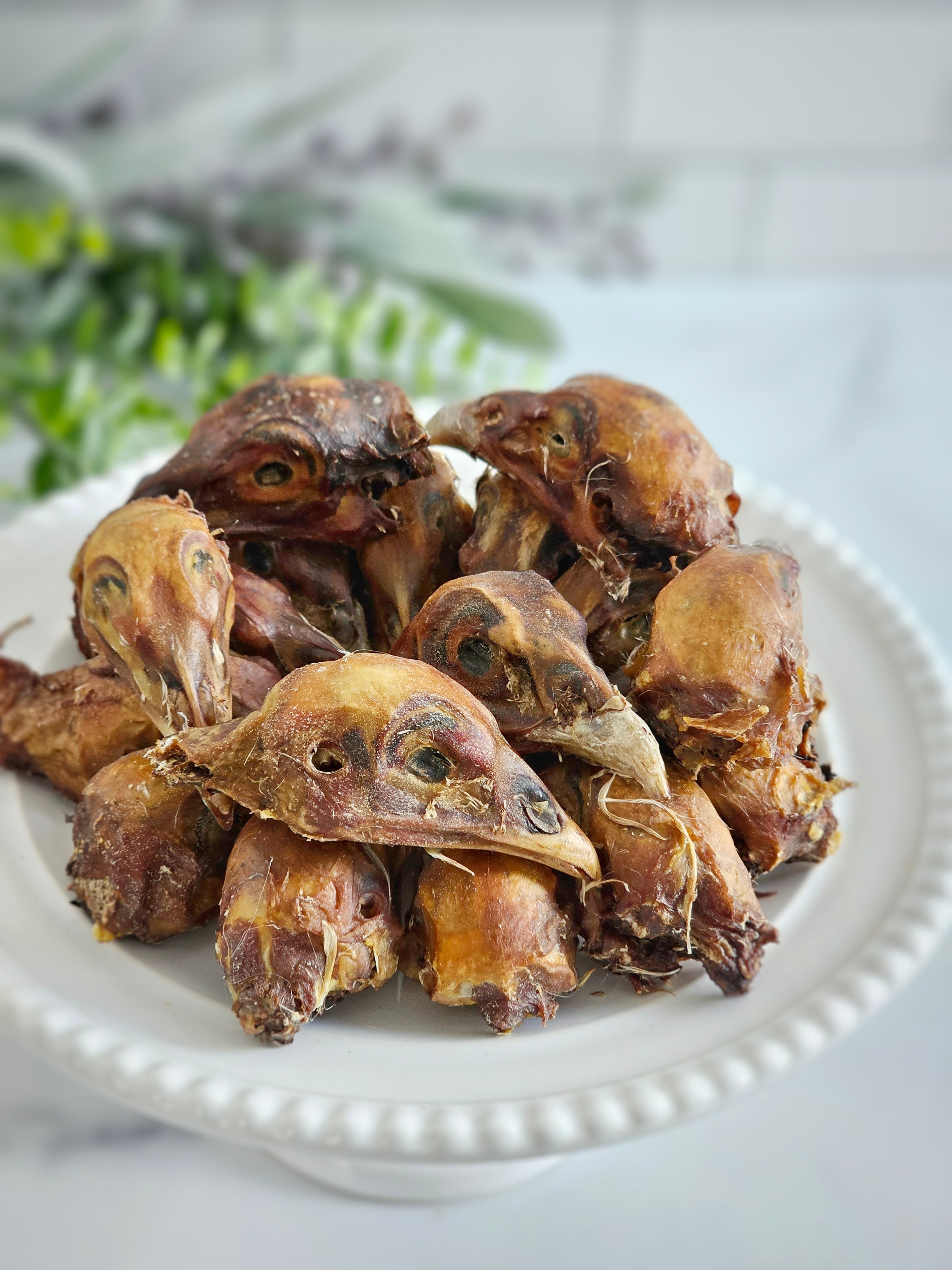 Pheasant Heads