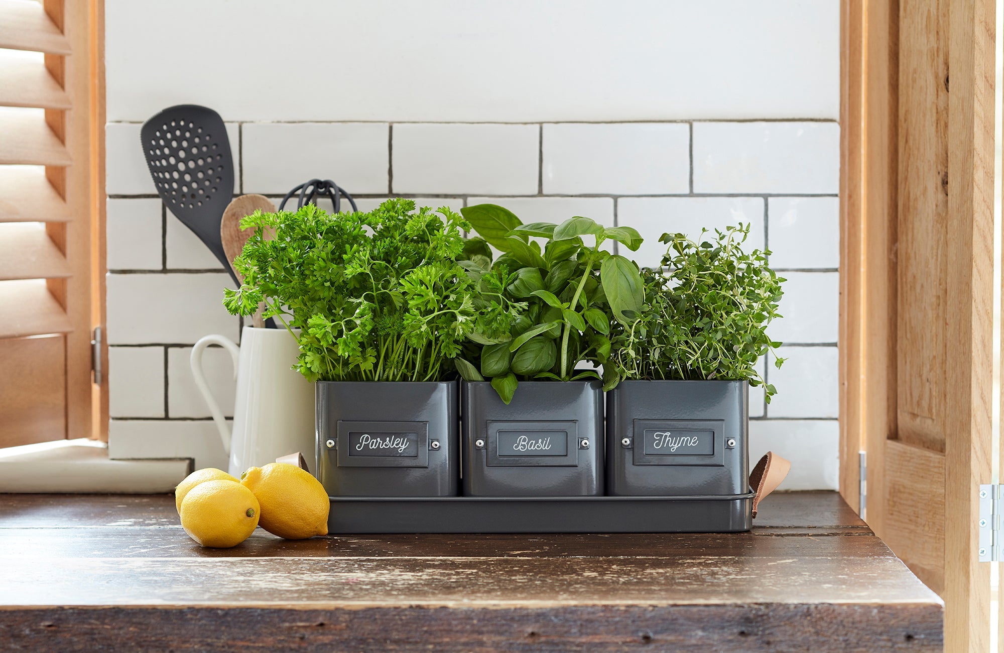 Burgon & Ball® 3 Herb Pots with Leather Handled Tray, Charcoal