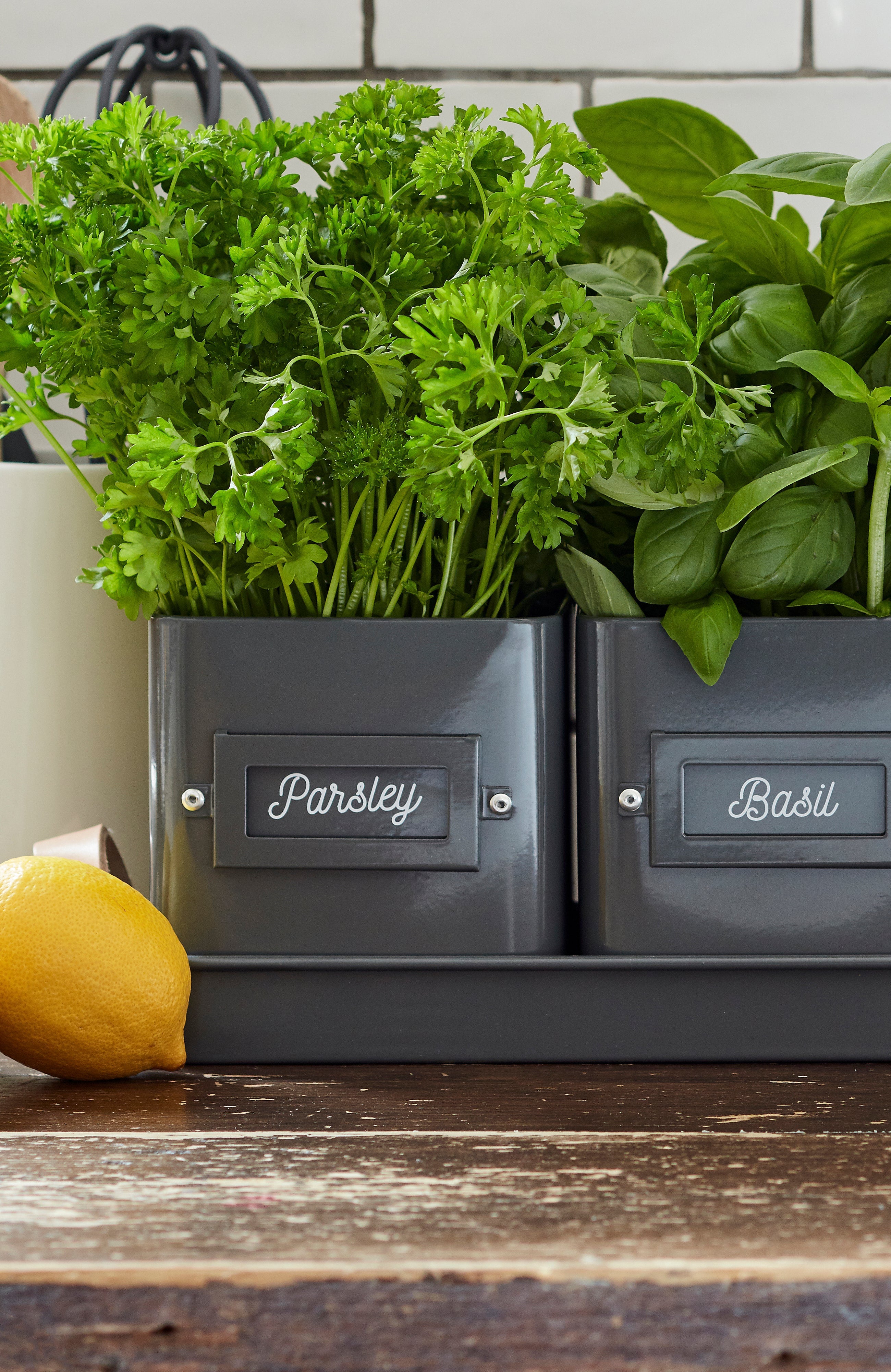 Burgon & Ball® 3 Herb Pots with Leather Handled Tray, Charcoal