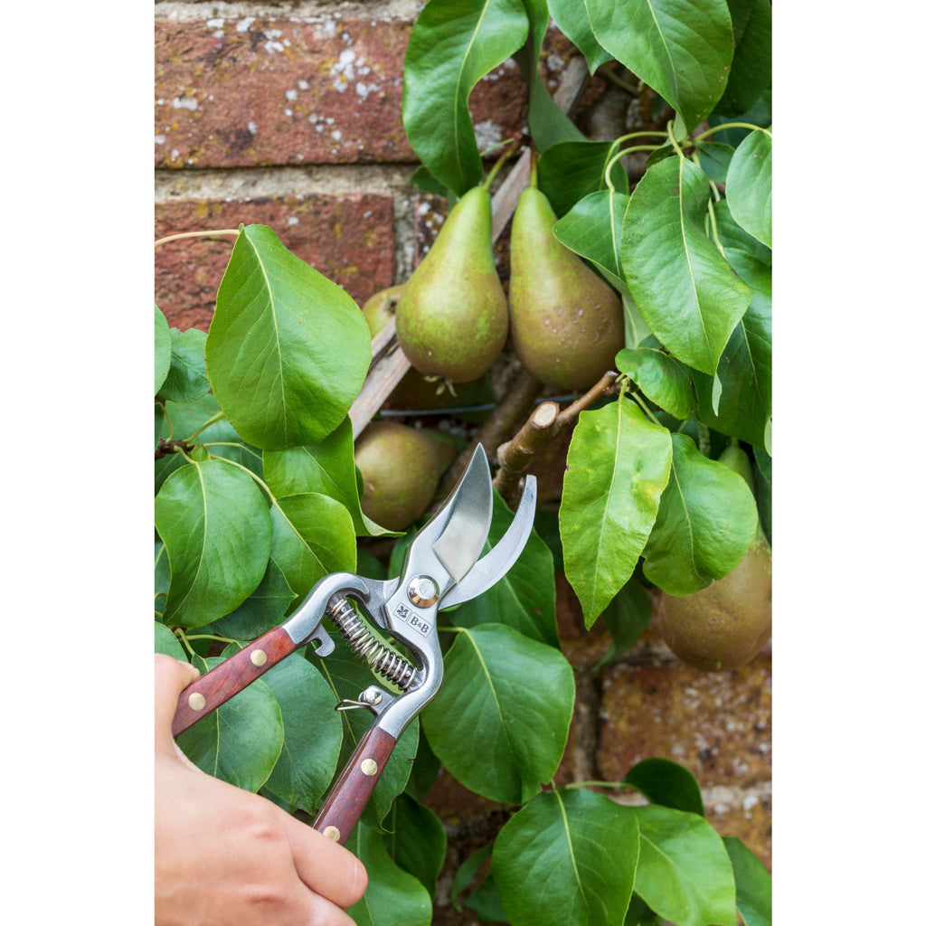Burgon & Ball® Wood Handle Bypass Pruner & Gift Box, 3/4 in. Cut Capacity