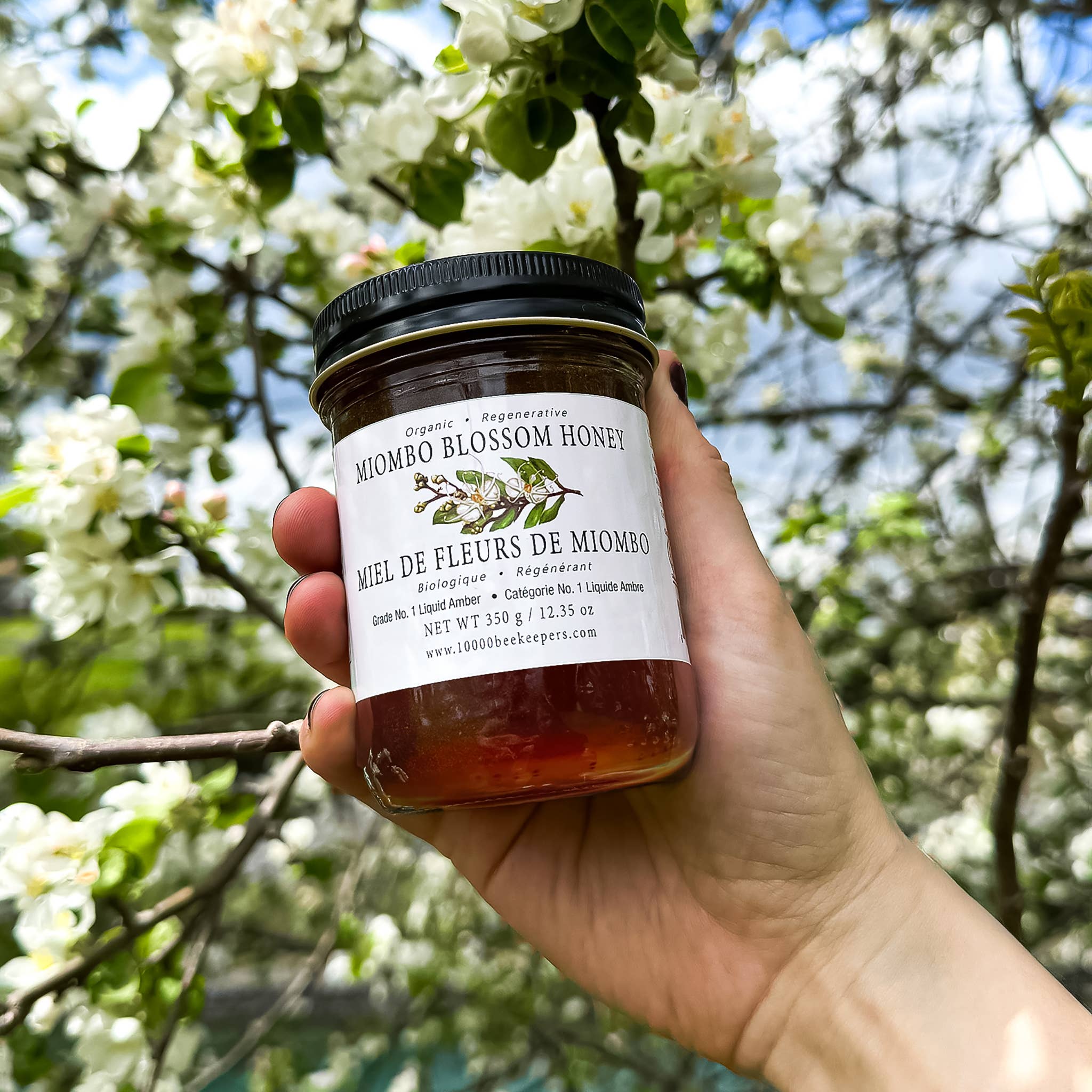 Organic Miombo Blossom Honey