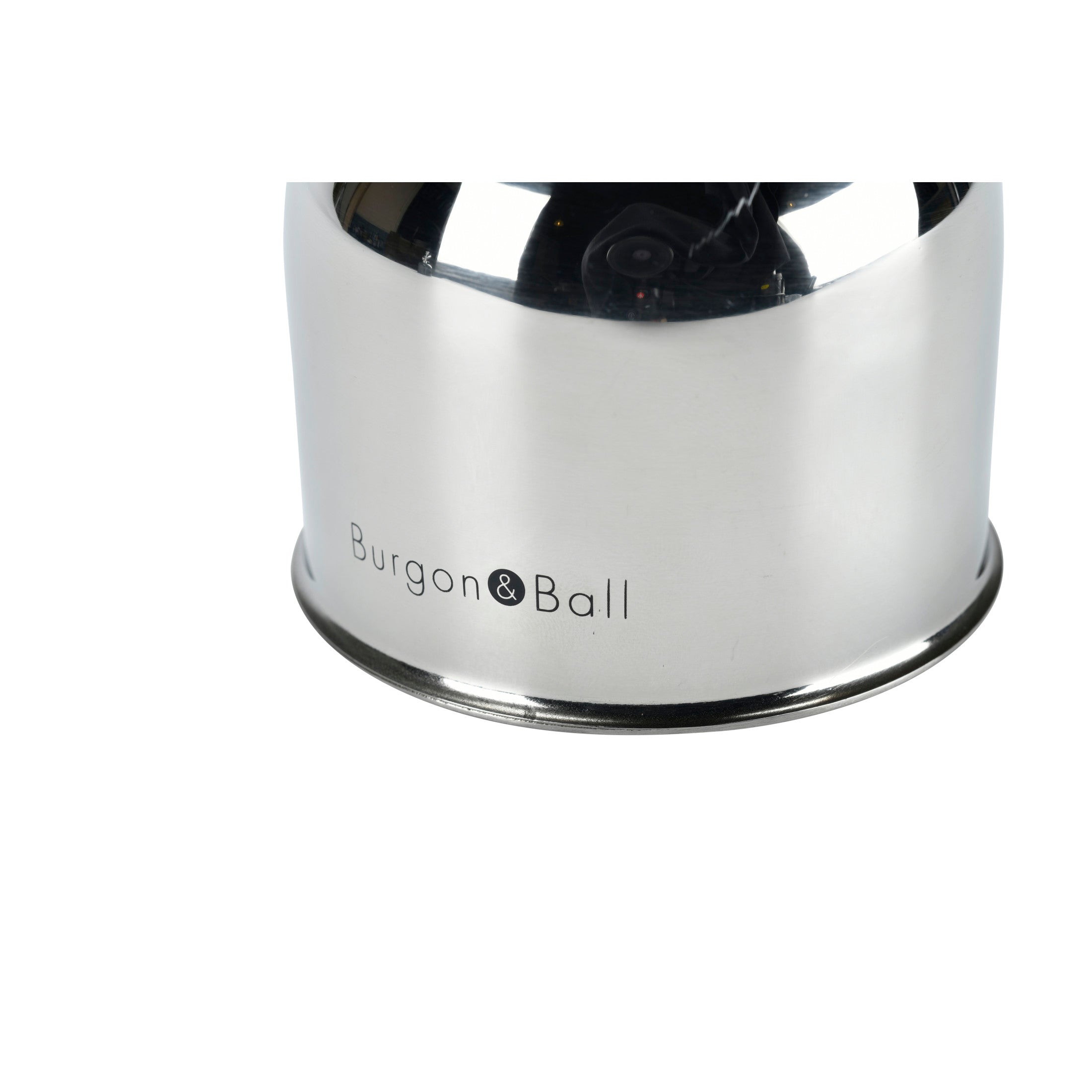Burgon & Ball® Indoor Plant Mister, Stainless Steel