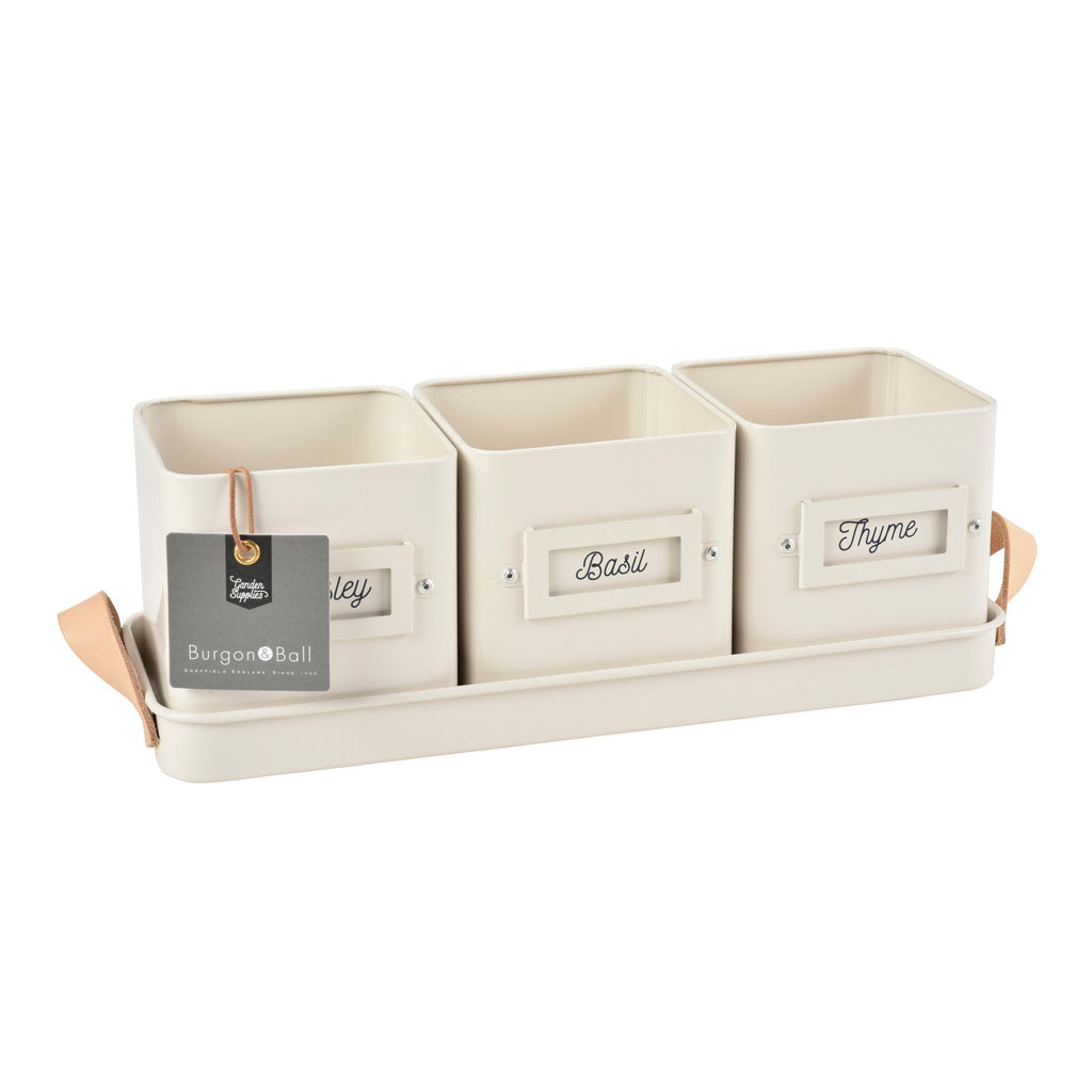 Burgon & Ball® 3 Herb Pots with Leather Handled Tray, Stone