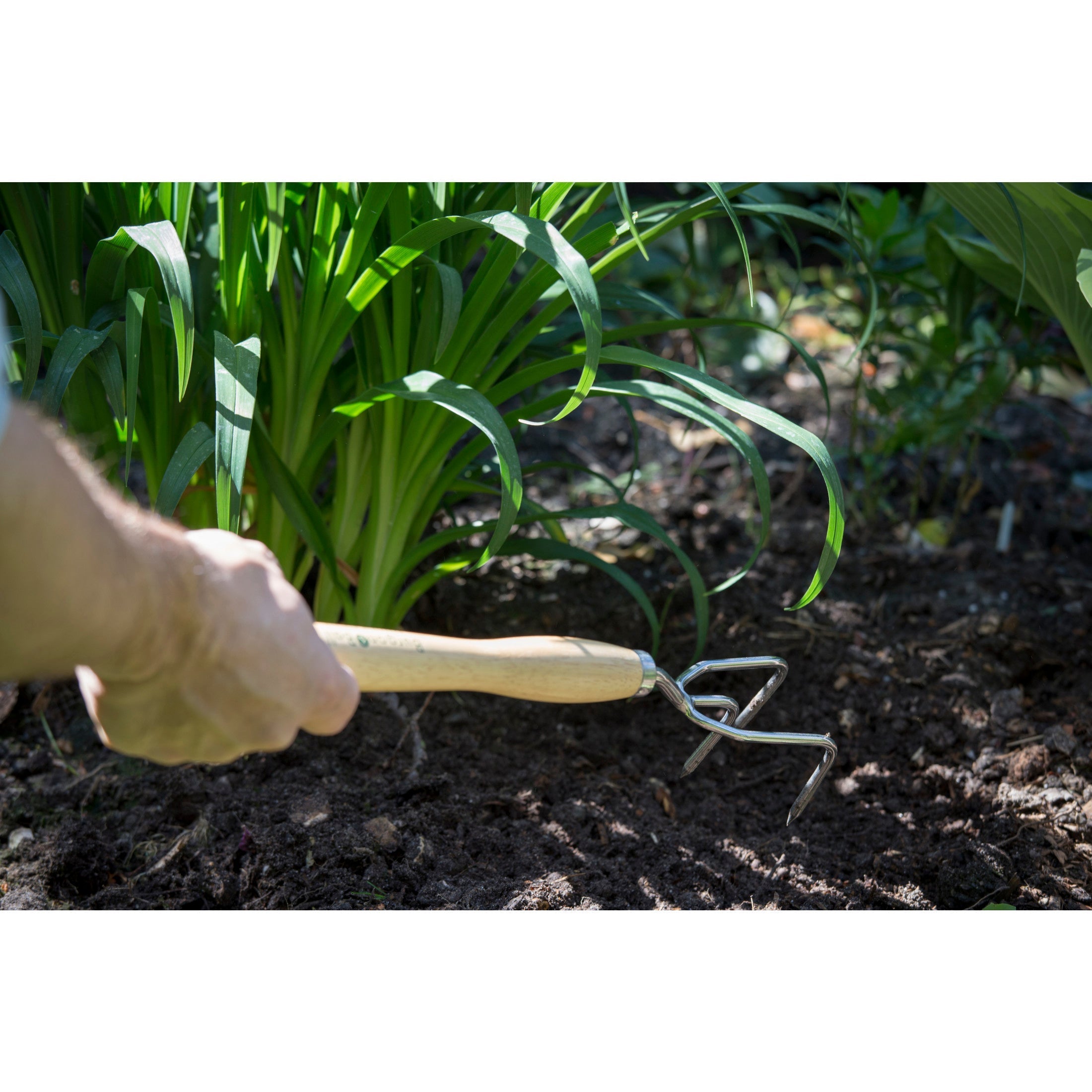 Burgon & Ball® Mid-Handled Stainless Steel Claw Cultivator, RHS Endorsed