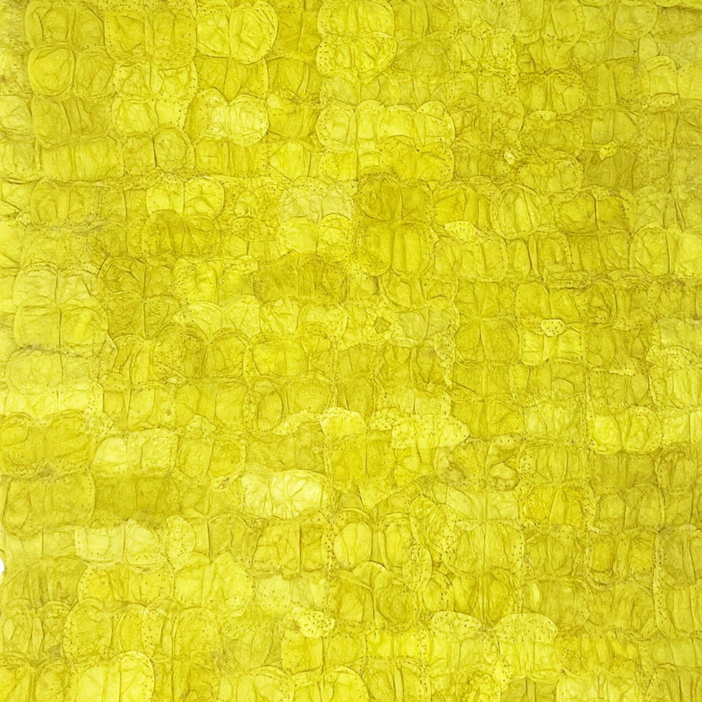 Mulberry Silk Charger (Pair) - Chartreuse