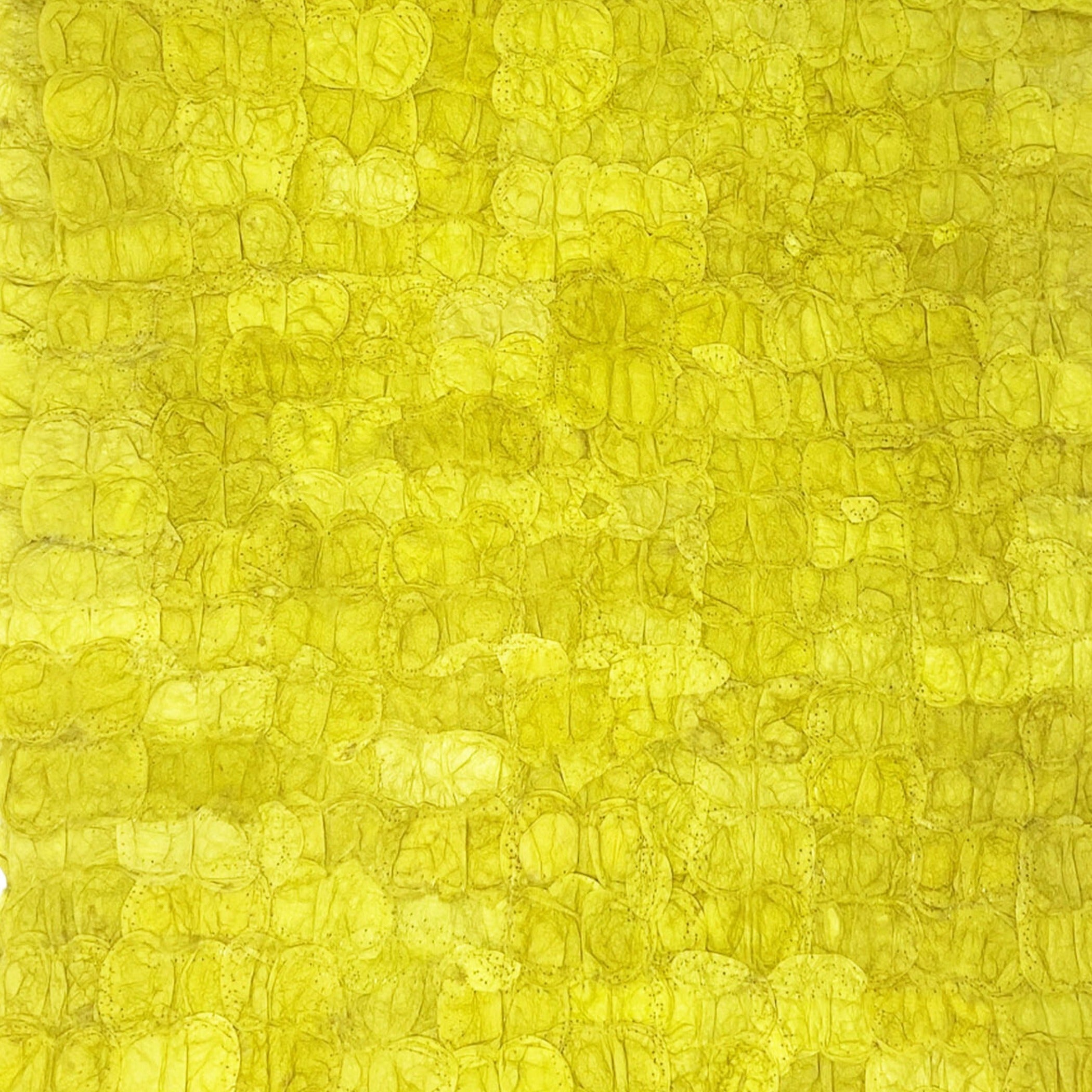 Mulberry Silk Charger (Pair) - Chartreuse