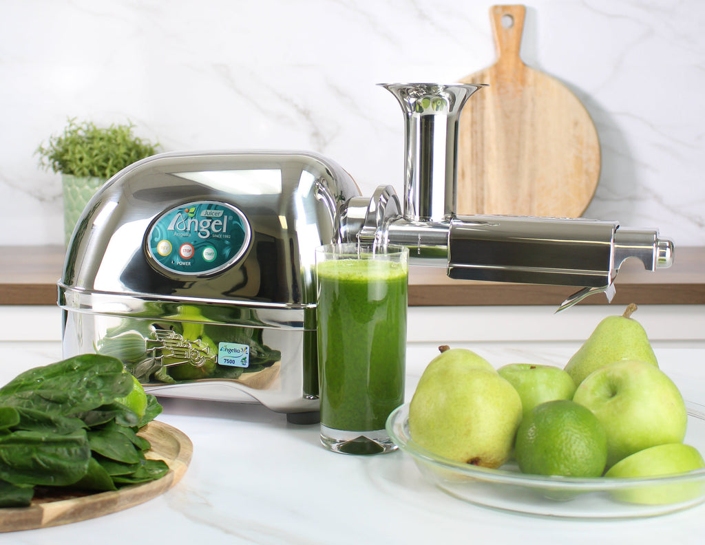 Angel 7500 Cold Press Slow Juicer