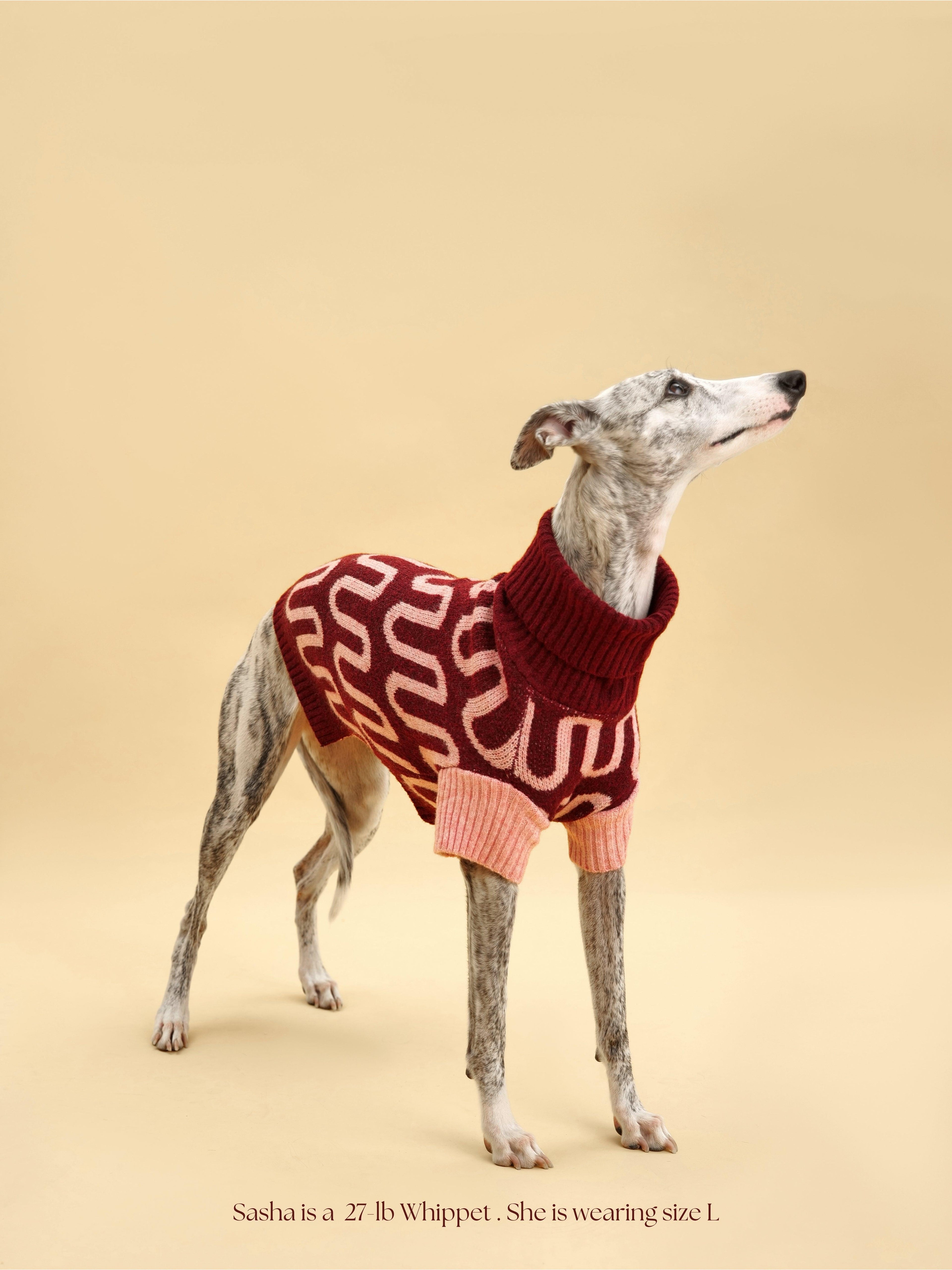 Rosé Bliss Sweater
