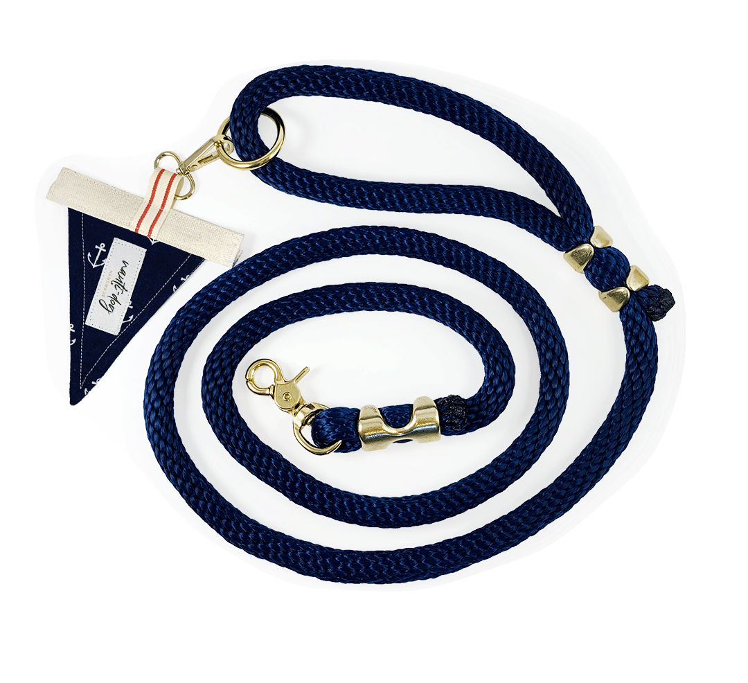 Anchors Away Nautical Premium Rope Dog Leash