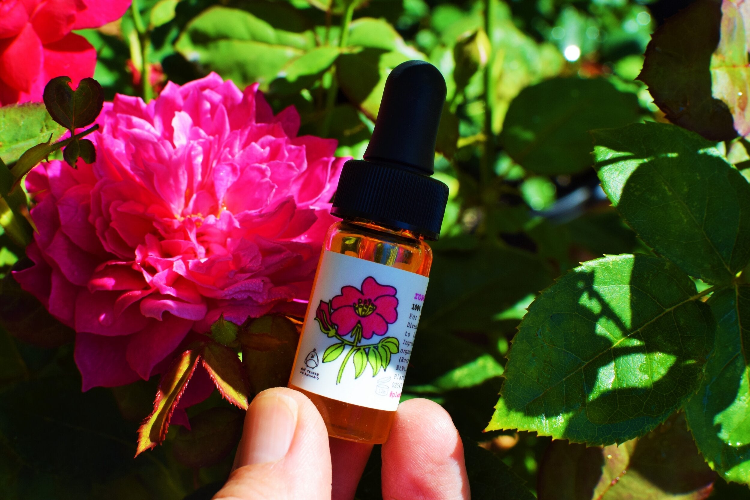 Rosehip Seed Oil