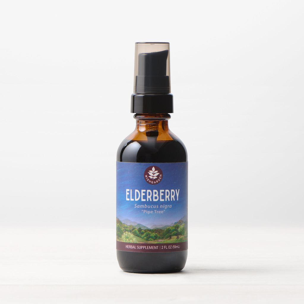 Elderberry