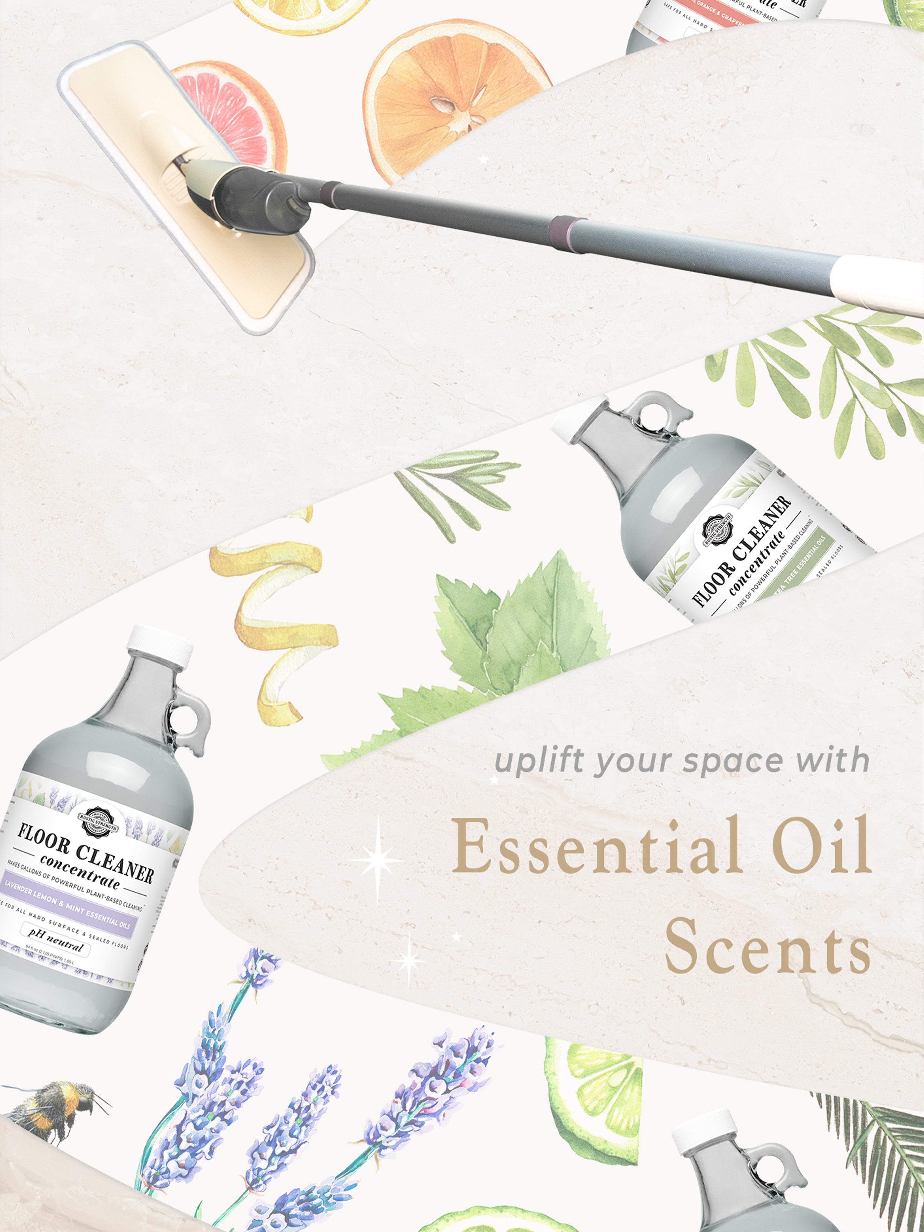Floor Cleaner Concentrate | Sunburst Citrus