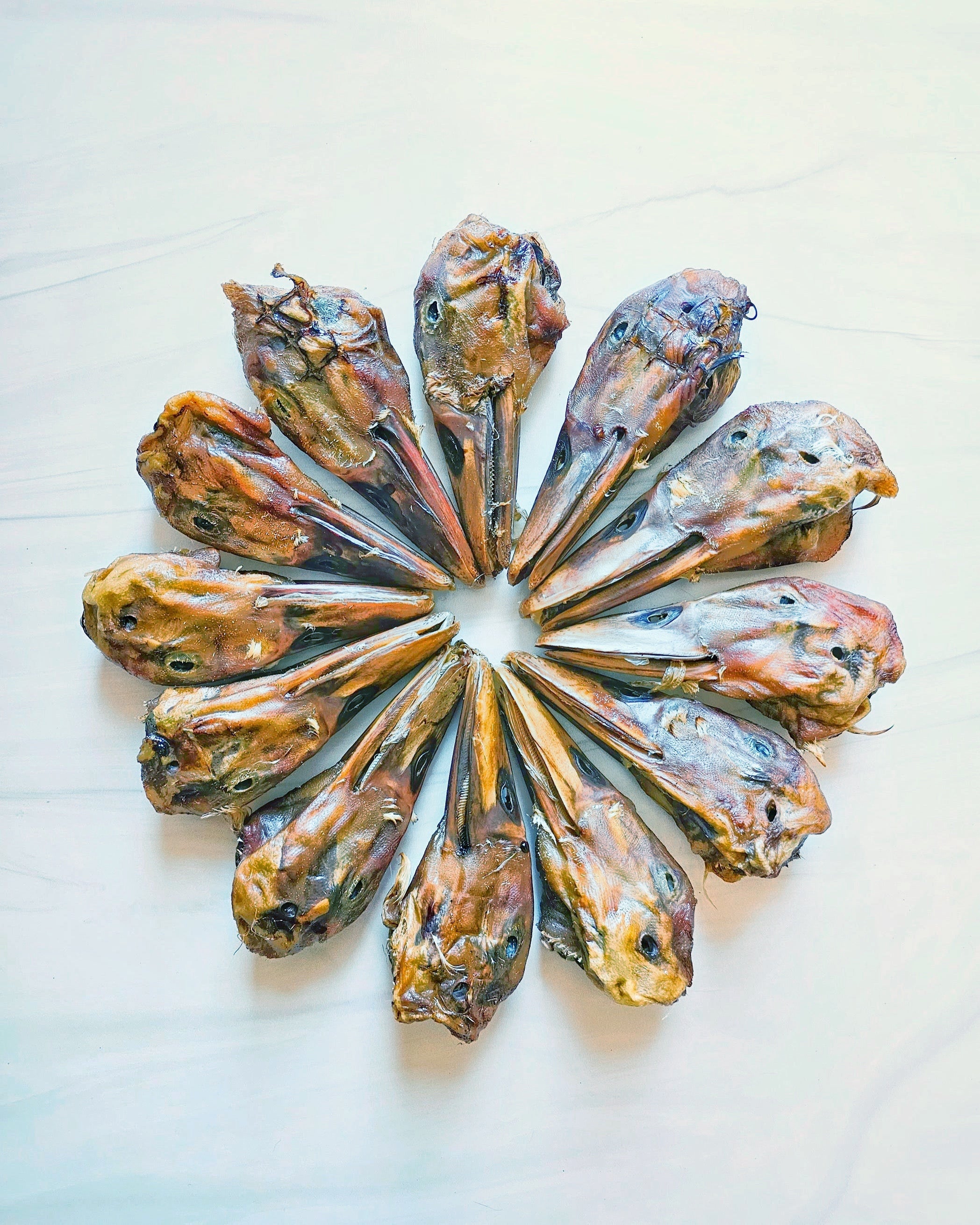 Duck Heads (ABF)