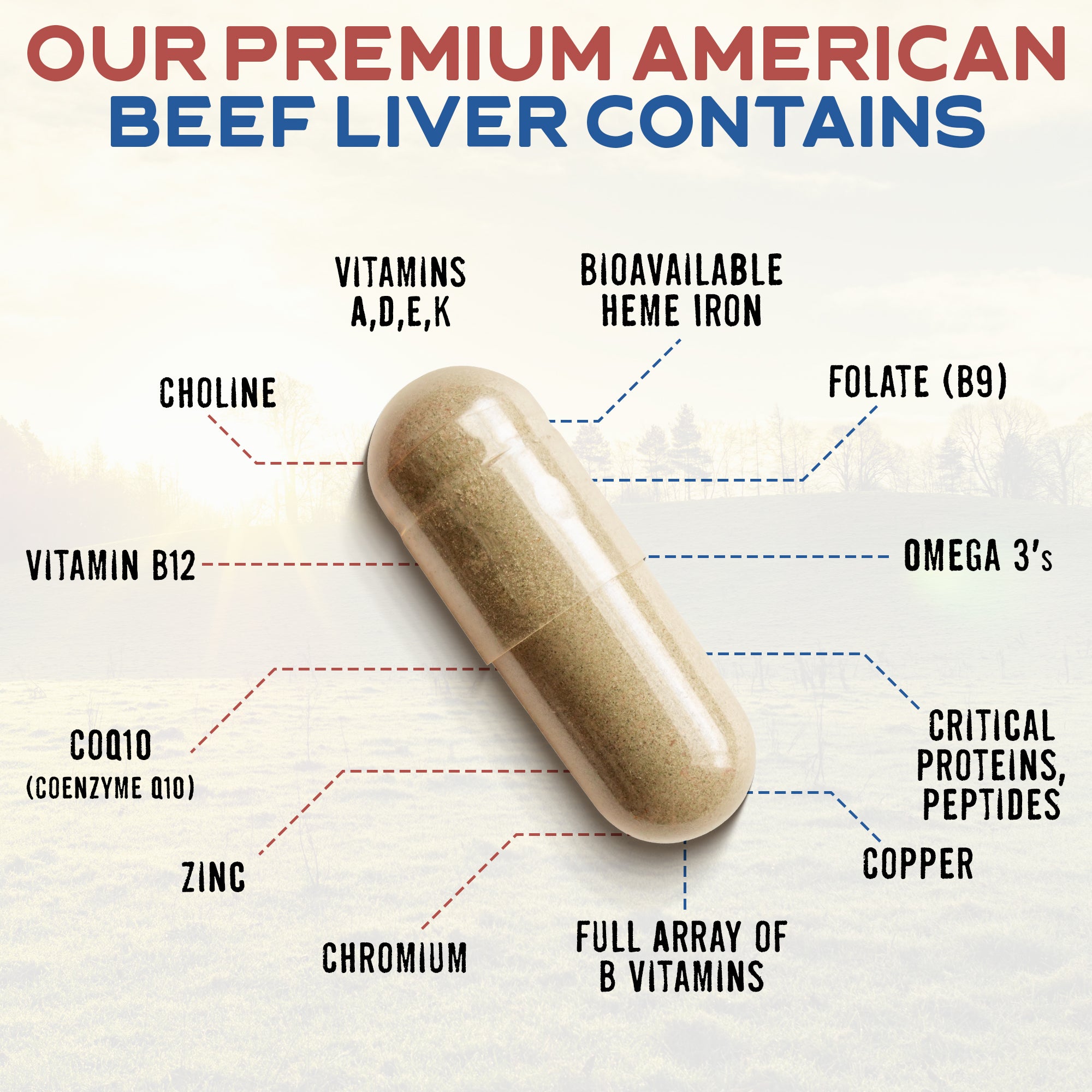 USA 100% Grass-Fed, All-American Beef Liver (1 Bottle)