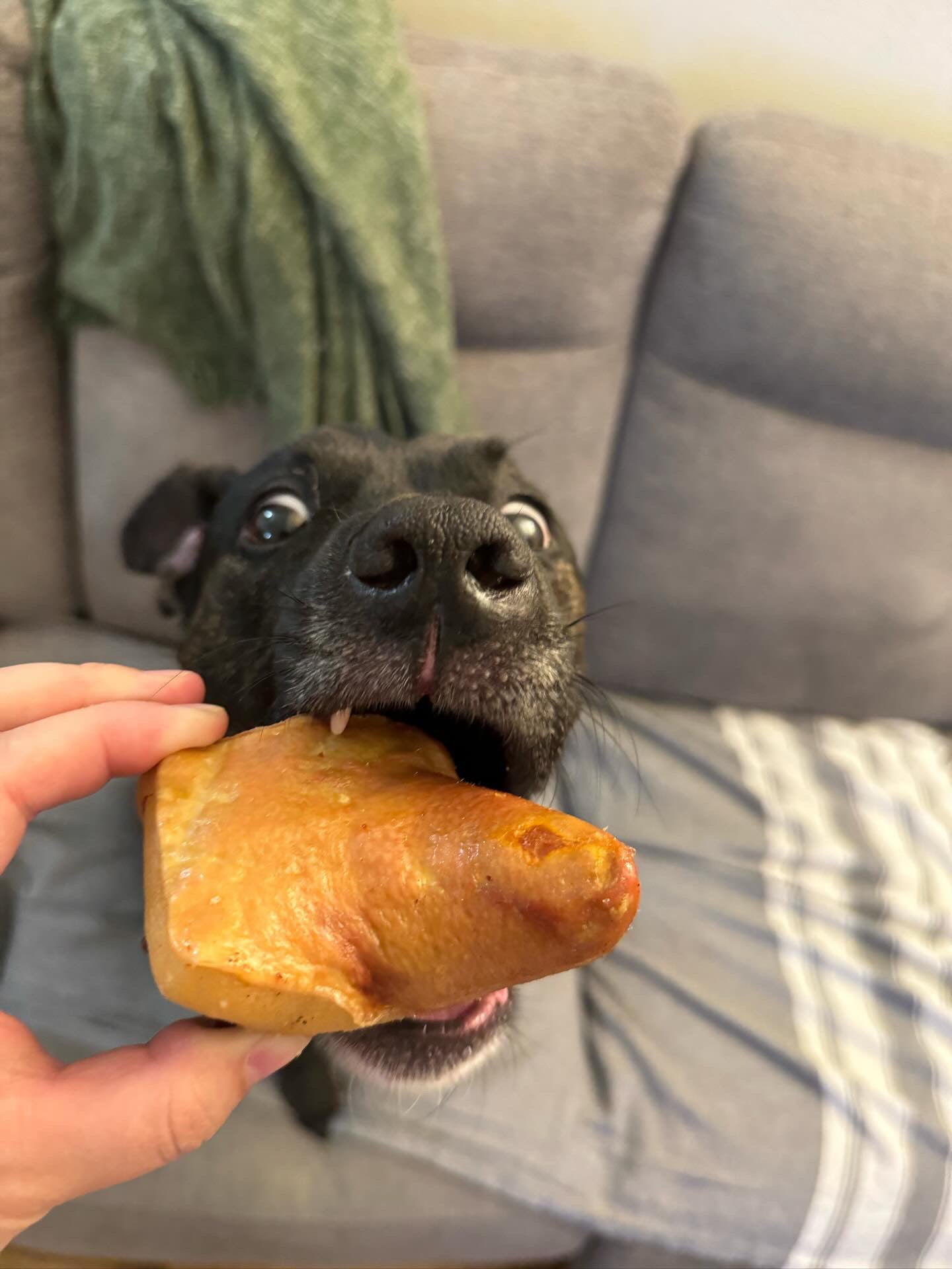 Pork Tails
