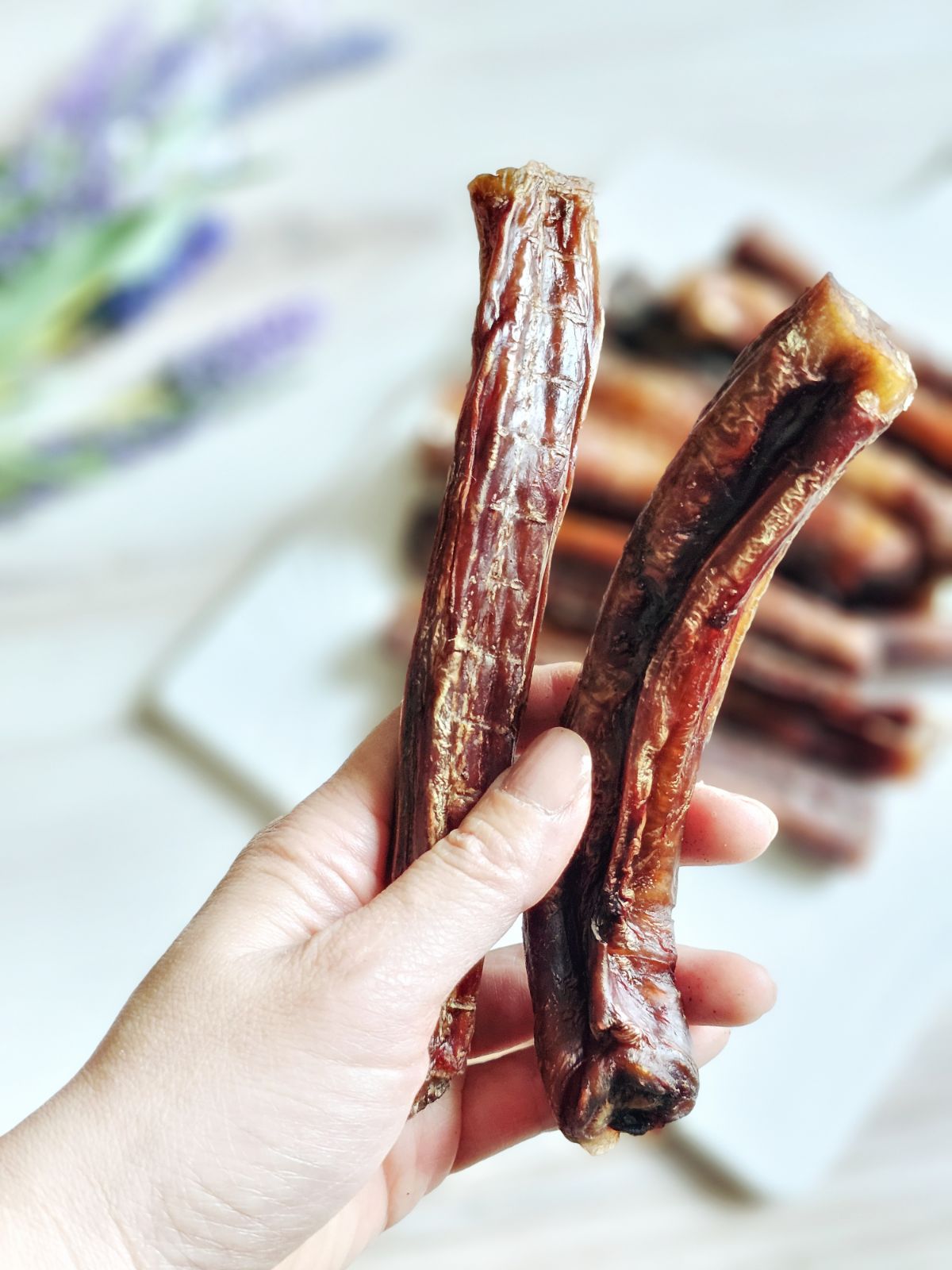 Beef Pizzle (Sticks, Loops, Short) - Limited Edition