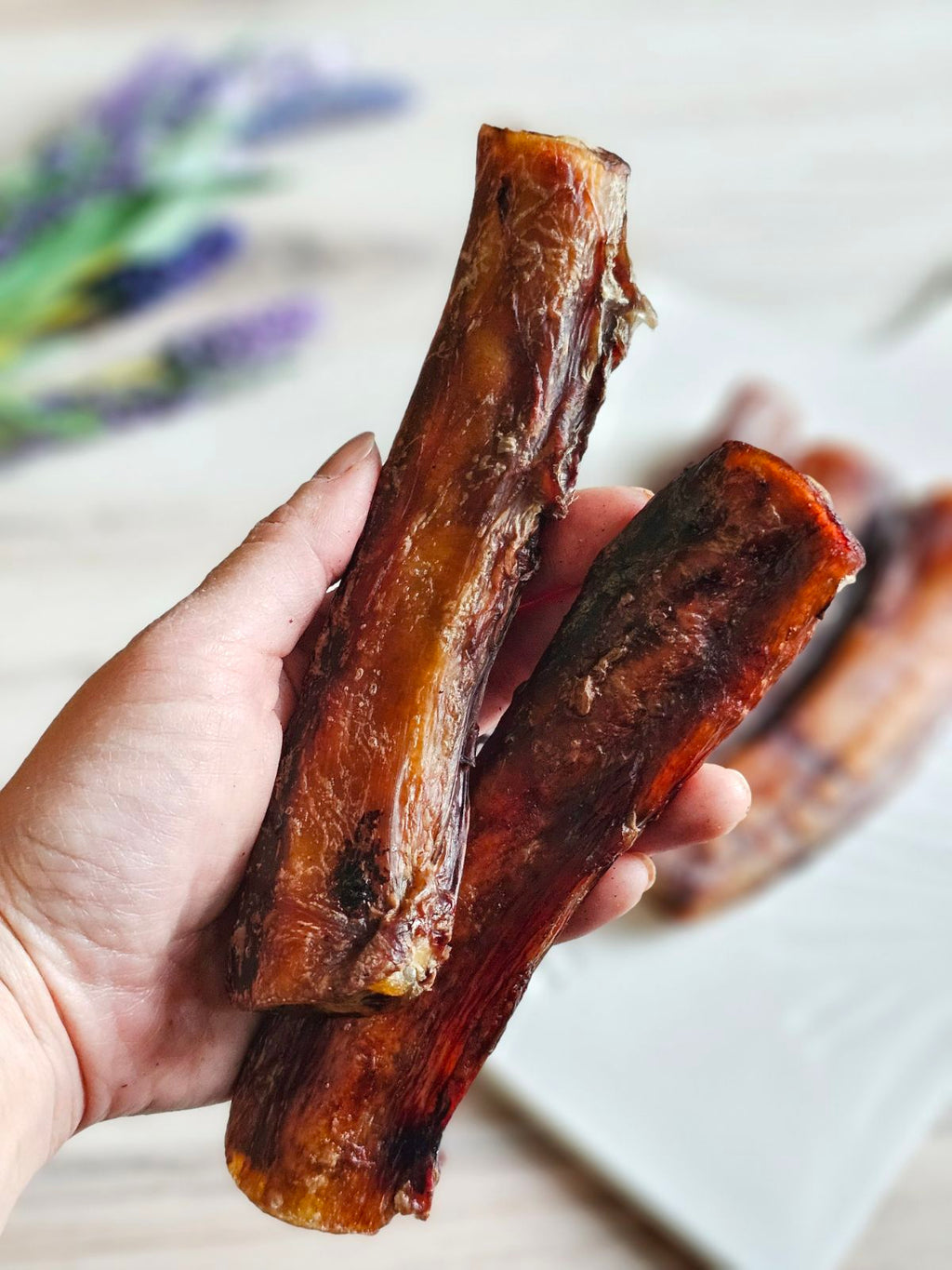 Beef Pizzle (Sticks, Loops, Short) - Limited Edition