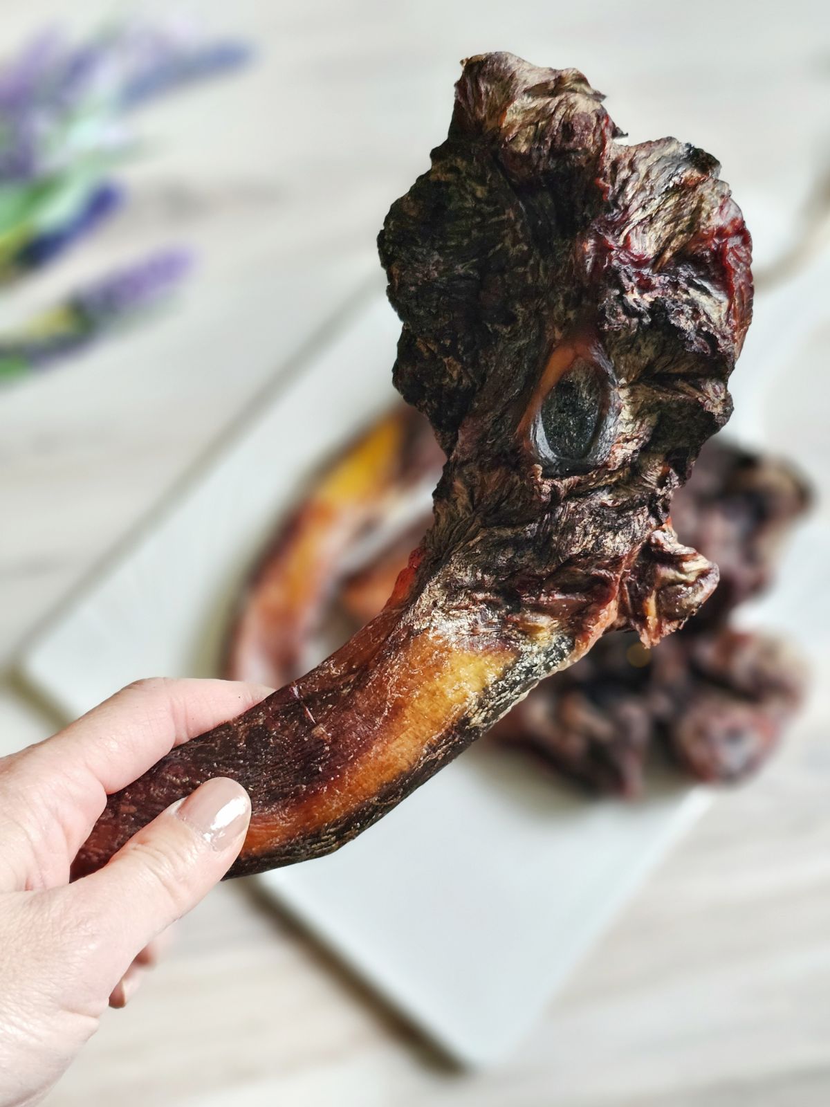 Beef Pizzle (Sticks, Loops, Short) - Limited Edition