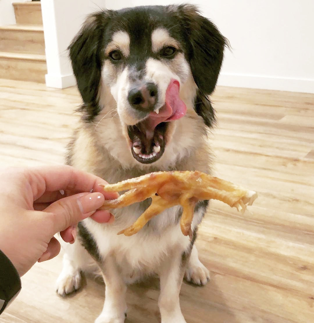 Chicken Feet