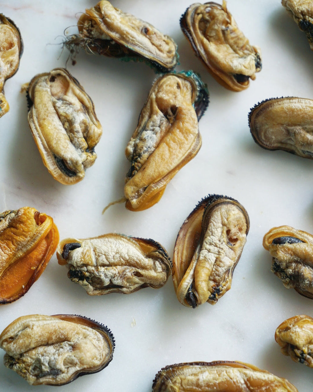 Green Lipped Mussels