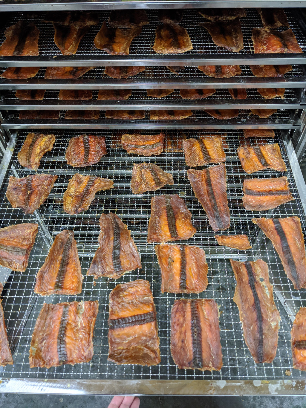 Salmon Fillet