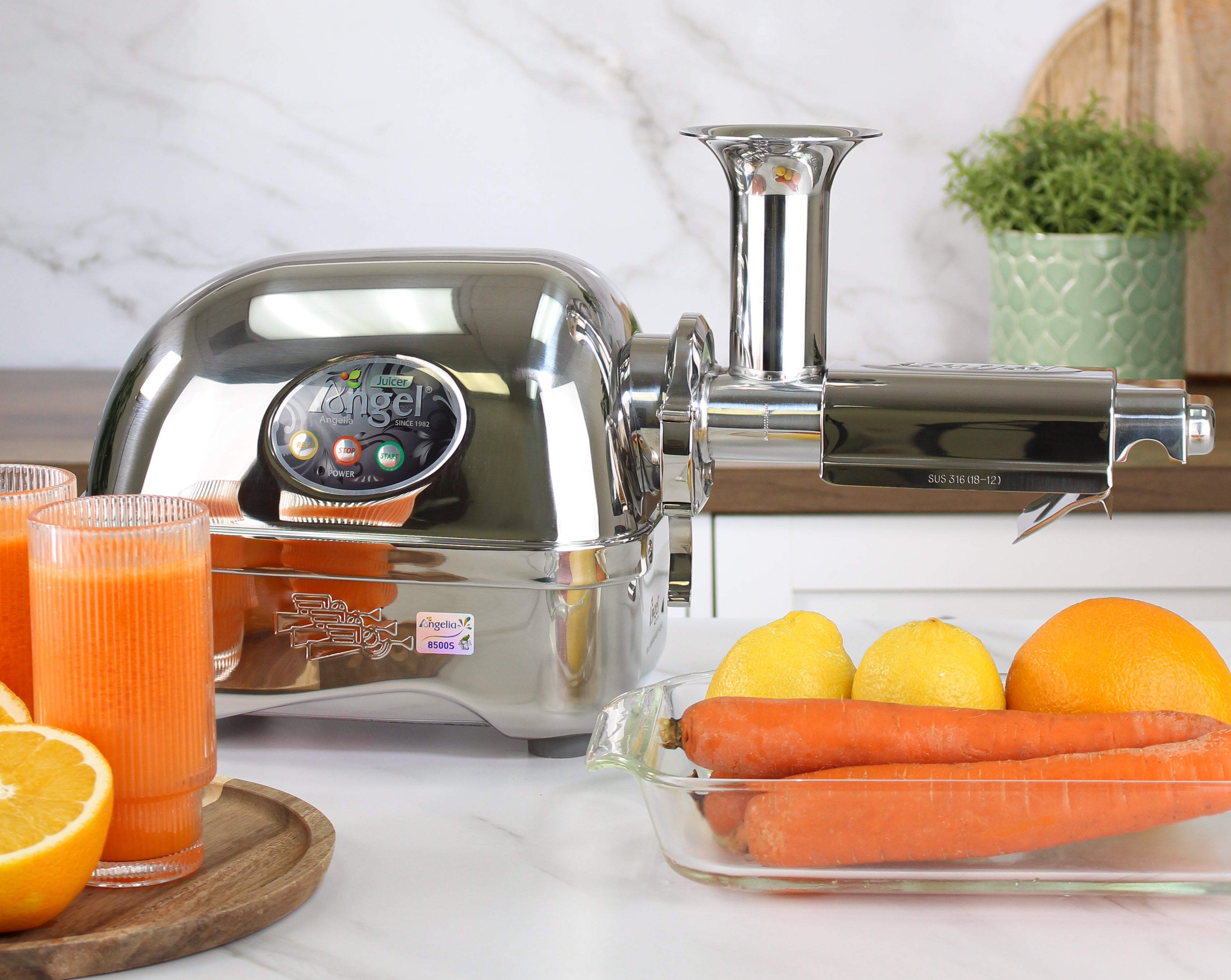 Angel 8500 Cold Press Slow Juicer [Back Order - Will Ship by 6/5]
