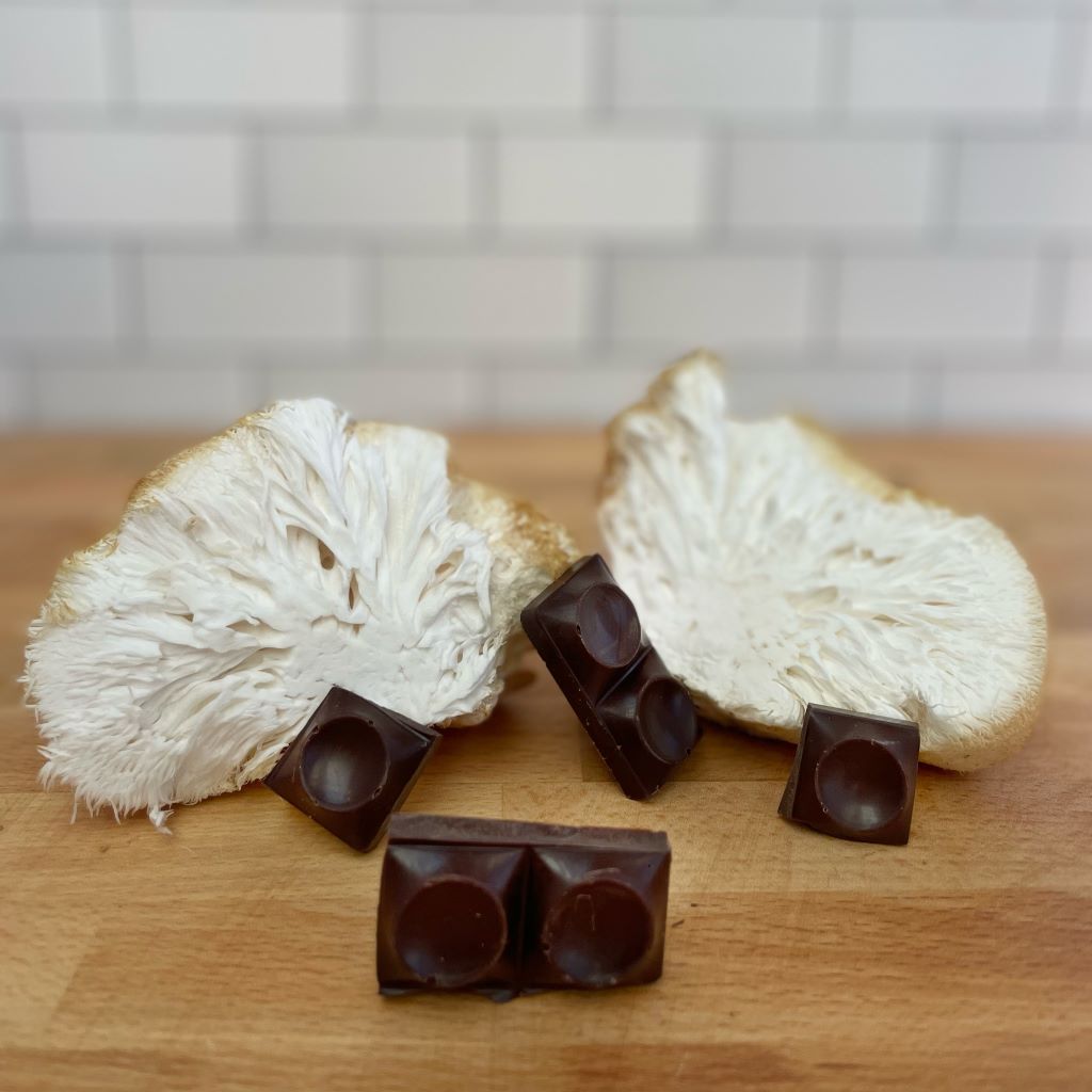 Ceremonial Forest Blend™ Cacao Paste with 6 Functional Mushrooms
