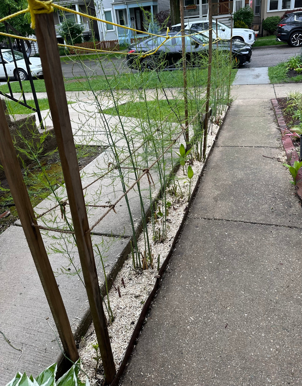 Hemp Mulch Hurd for Organic Gardening and Soil Health