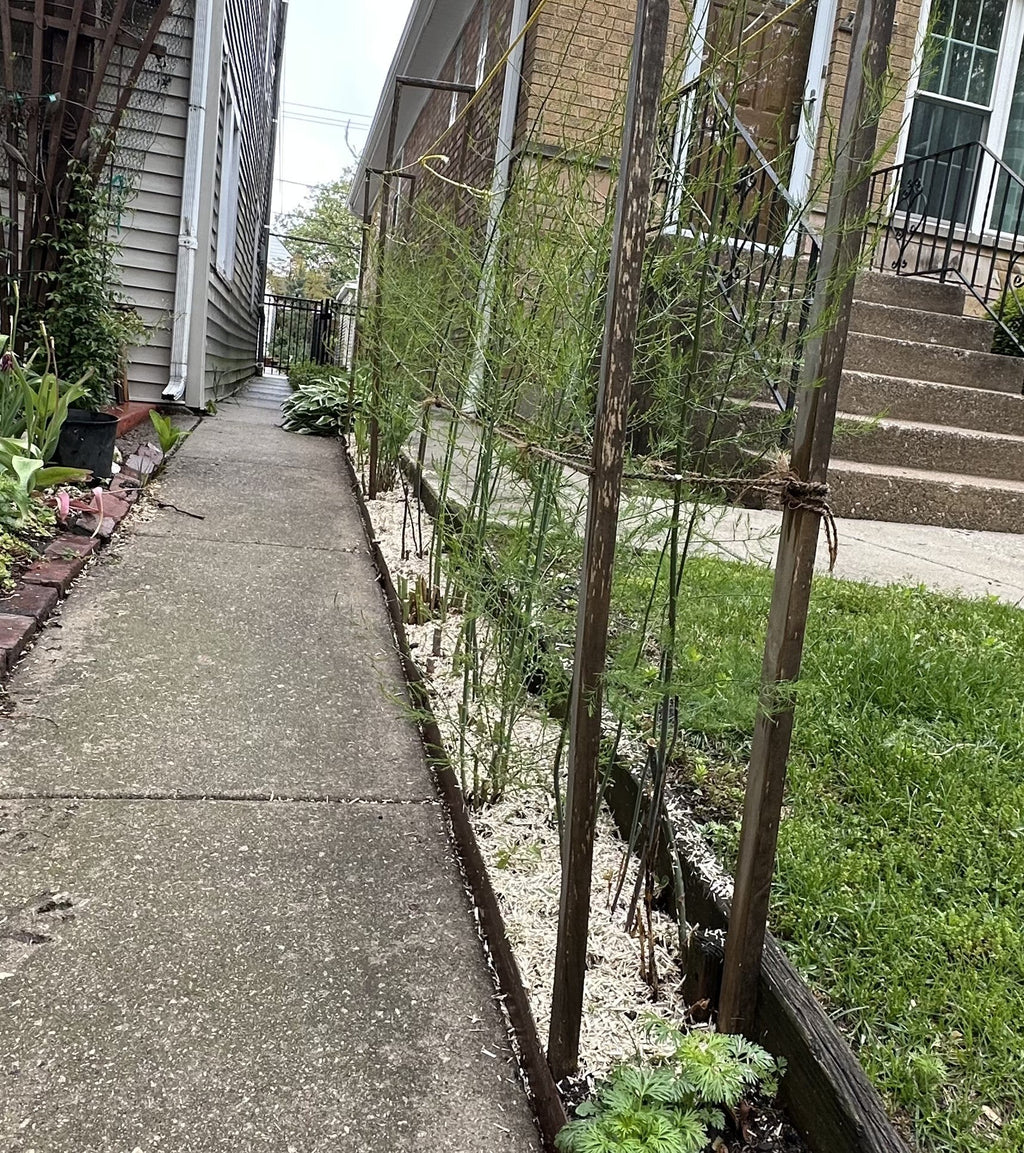 Hemp Mulch Hurd for Organic Gardening and Soil Health