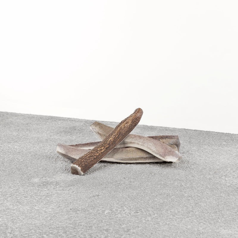 Primal Split Stag Antler