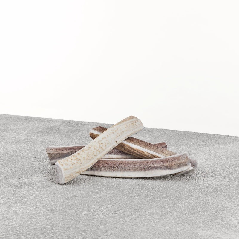 Primal Split Elk Antler