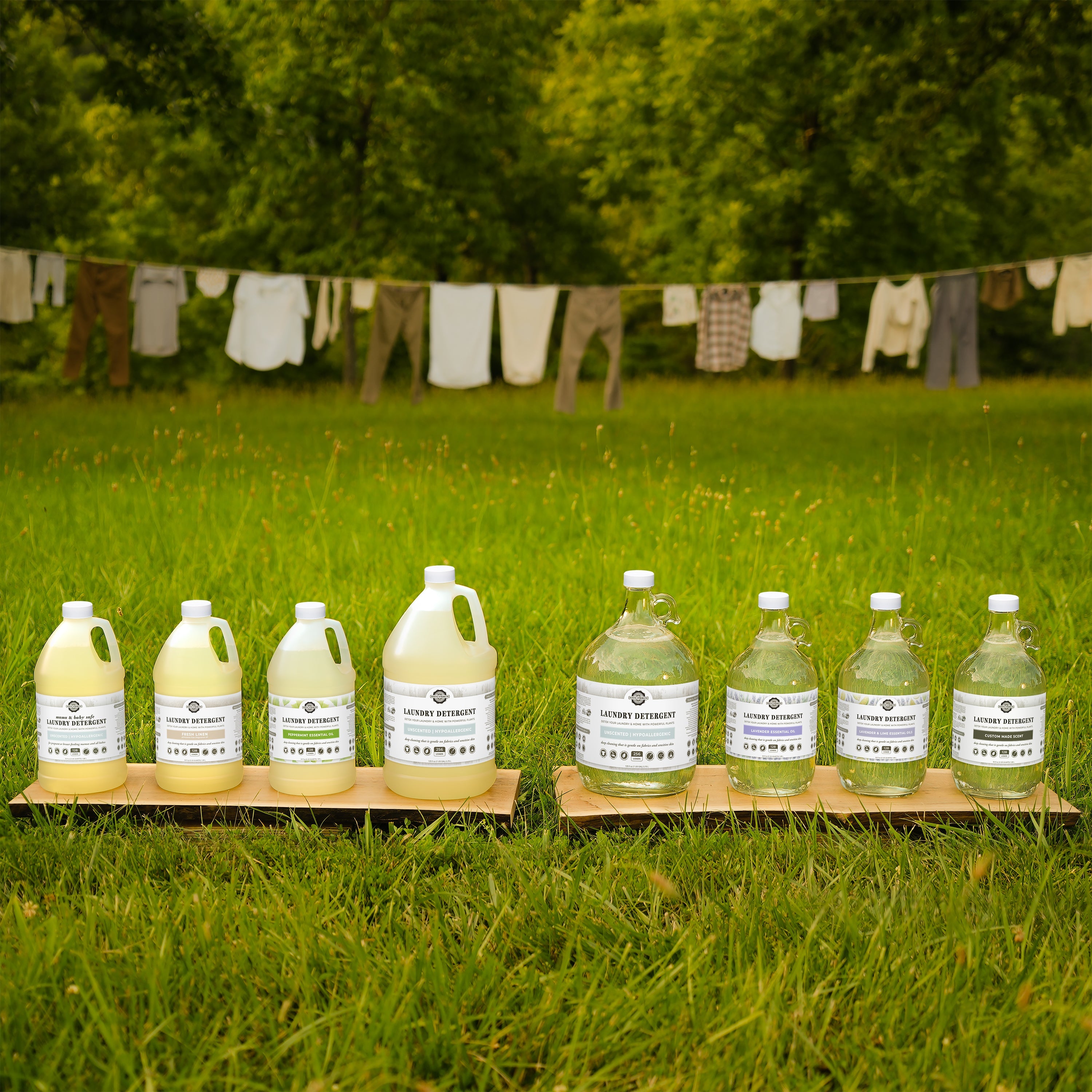 Laundry Detergent | Unscented