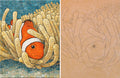 Nemo 14"x10.5" with Pattern (pre-drilled for hanging kit)