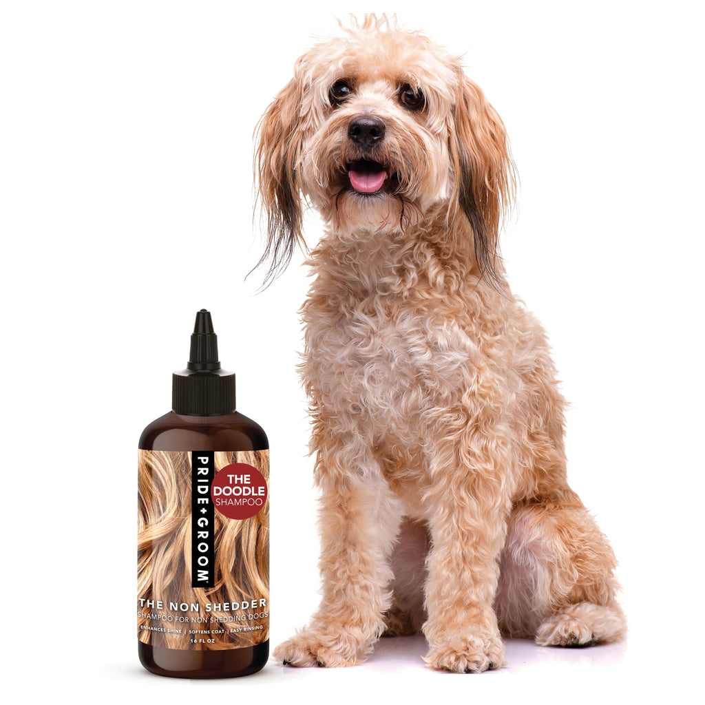 THE NON SHEDDER Dog Shampoo — Hydrating, Detangling, Hypoallergenic Formula for Doodles and all Non-Shedding Breeds