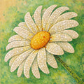 White Daisy with Pattern 14"x14" (wood)