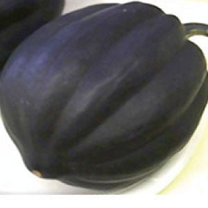 SQUASH (Acorn) Seeds, Table Queen