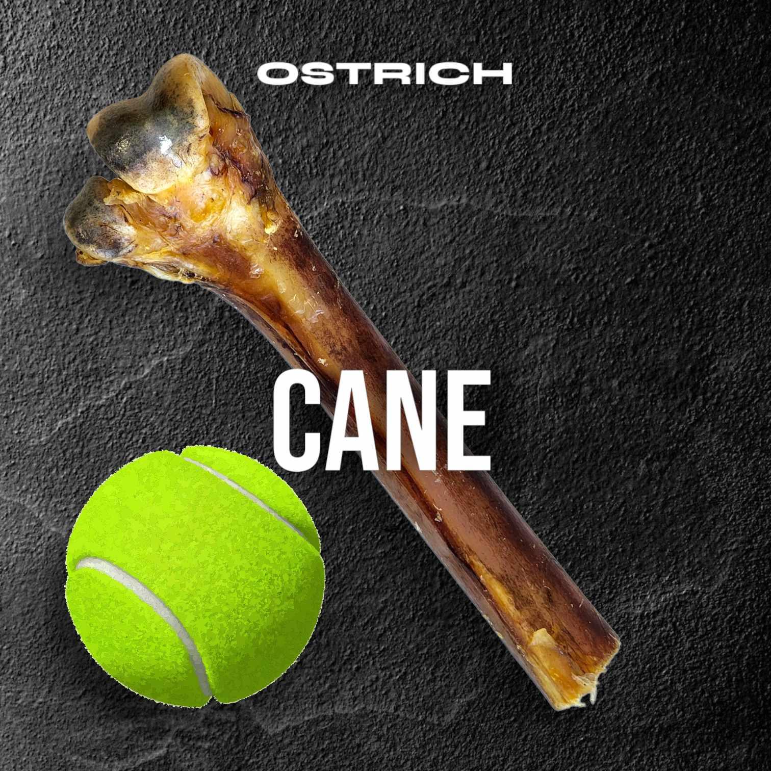 Medium Ostrich Cane (10" x 3"): The Long-Lasting, Flavor-Packed Chew for Medium & Large Dogs