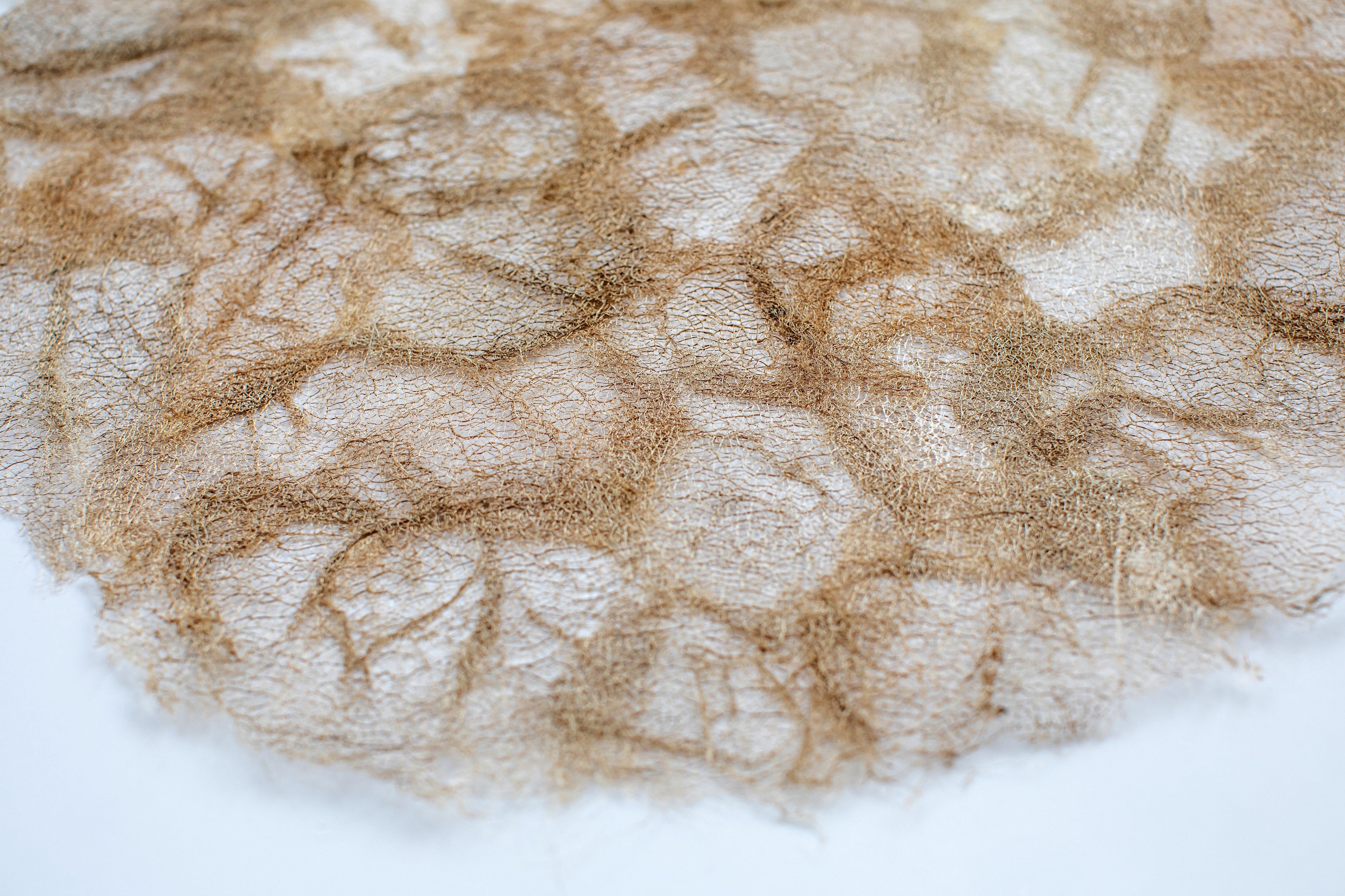 Wild Silk Charger (Pair) - Ceranchia Open