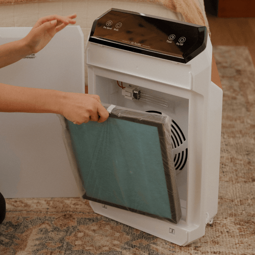 Air Filter - Replacement Filter