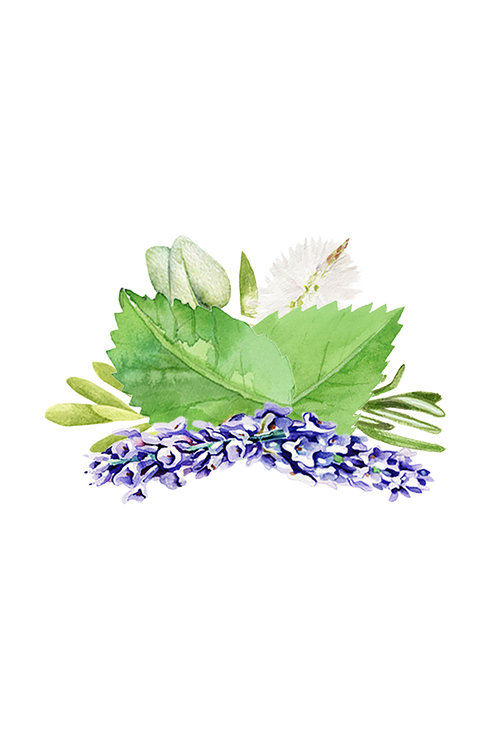 Aromatherapy Blend of Essential Oil