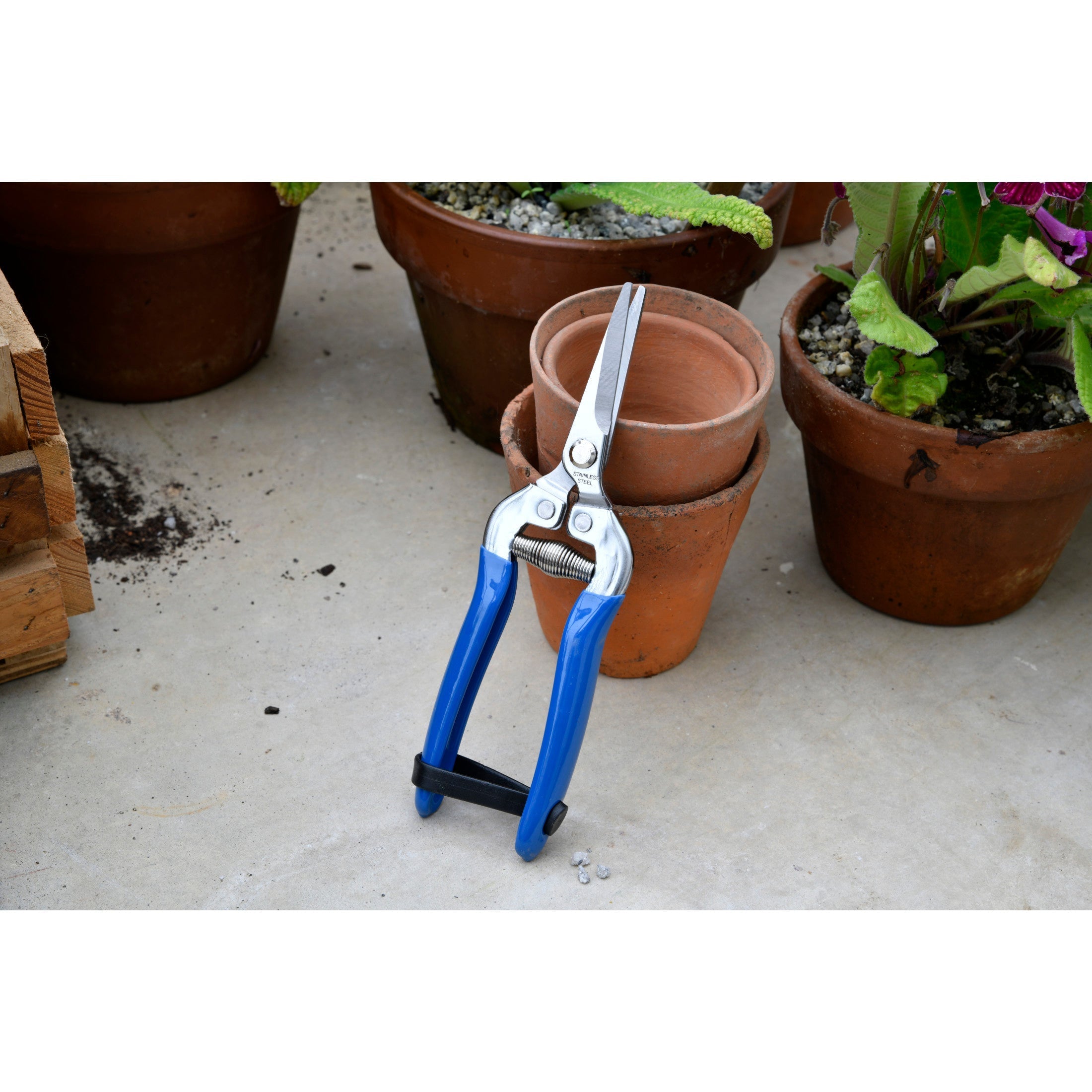 Burgon & Ball® British Meadow Fruit & Flower Snips, RHS Endorsed