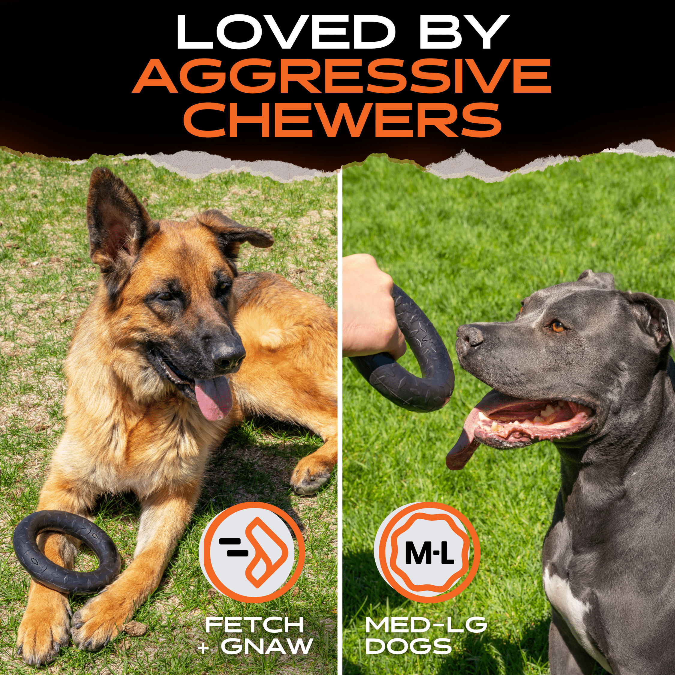 Chew Ring