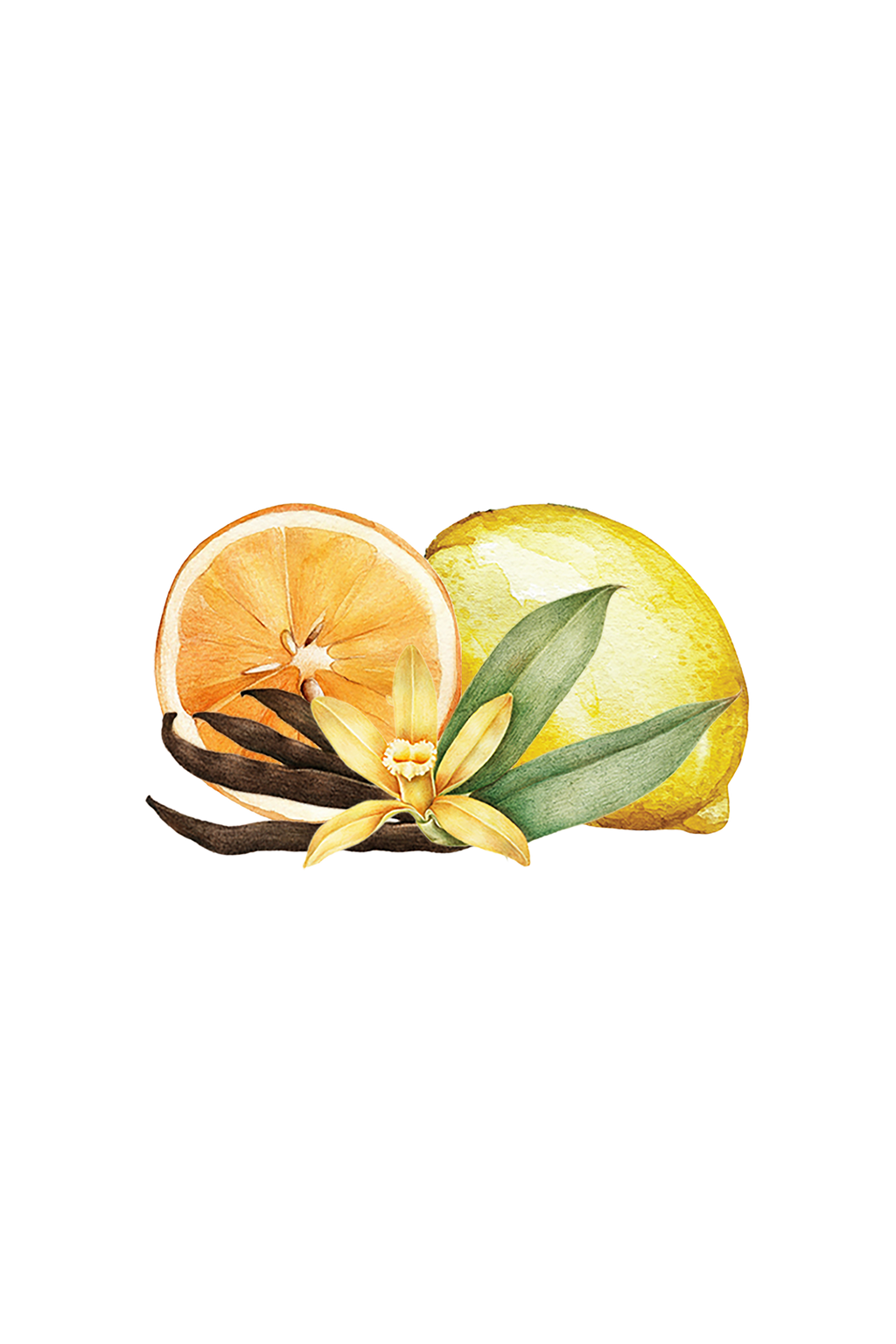 Citrus & Vanilla EO / FO Blend