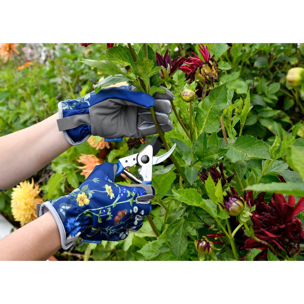 Burgon & Ball® British Meadow Pruner & Holster Set, RHS Endorsed